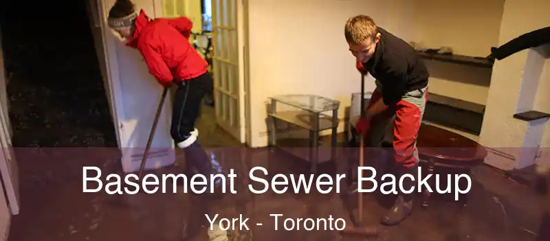 Basement Sewer Backup York - Toronto