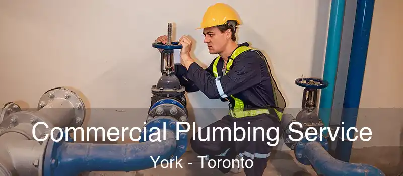 Commercial Plumbing Service York - Toronto
