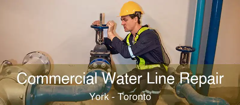 Commercial Water Line Repair York - Toronto