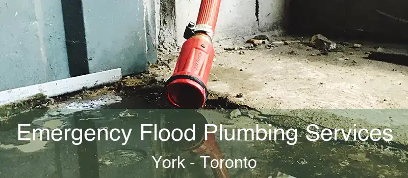 Emergency Flood Plumbing Services York - Toronto