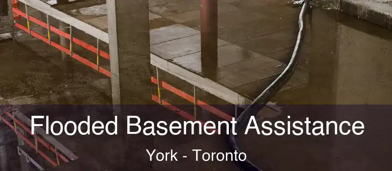 Flooded Basement Assistance York - Toronto