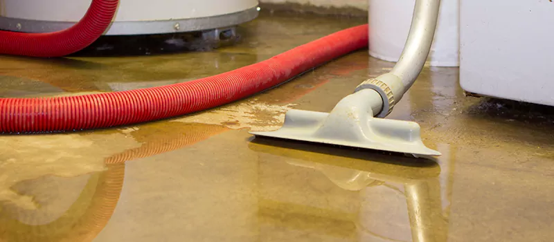 Professional Sewer Backup Cleanup Services in York, Toronto