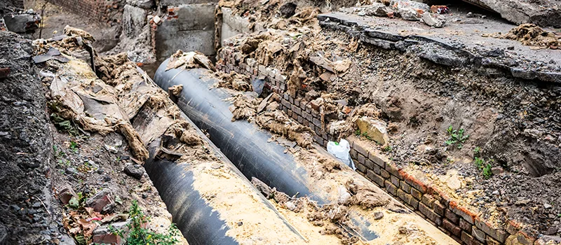 Commercial Sewer Tree Roots Damage Solutions in York, Toronto