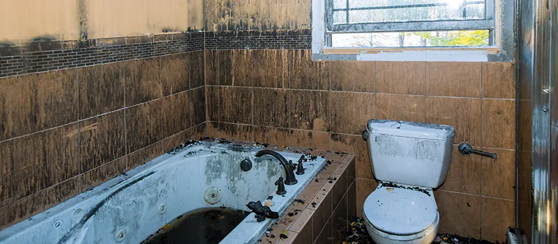 Residential Water Damage Restoration in York, Toronto