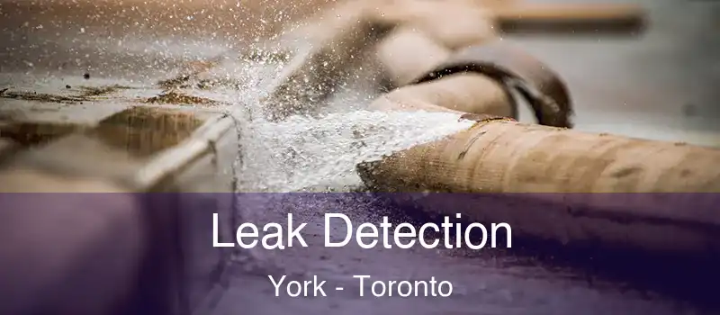 Leak Detection York - Toronto