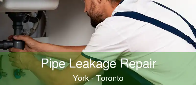 Pipe Leakage Repair York - Toronto