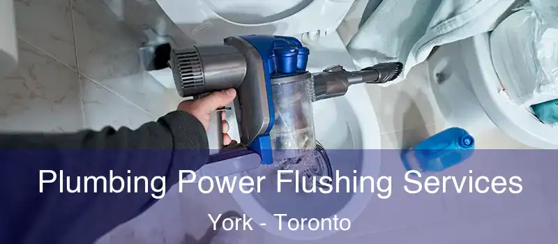 Plumbing Power Flushing Services York - Toronto