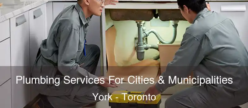 Plumbing Services For Cities & Municipalities York - Toronto