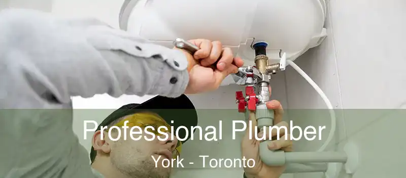 Professional Plumber York - Toronto