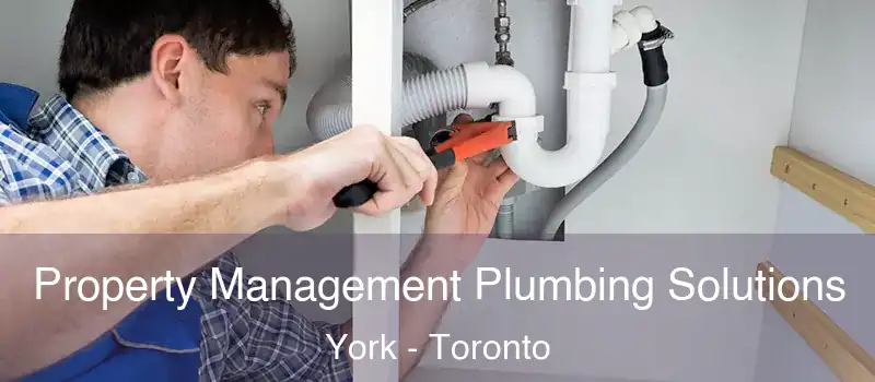 Property Management Plumbing Solutions York - Toronto