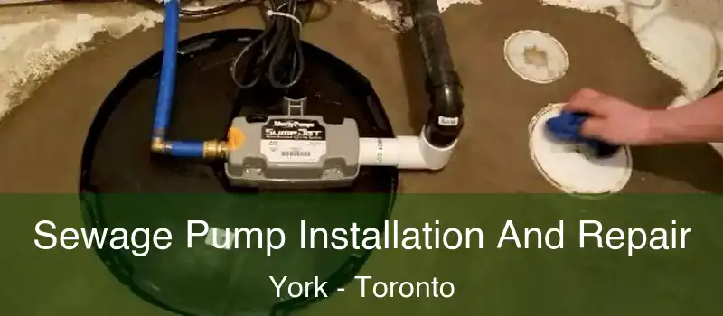 Sewage Pump Installation And Repair York - Toronto