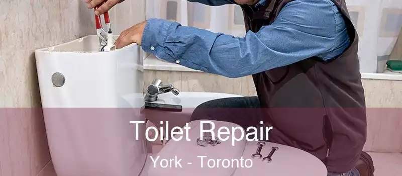 Toilet Repair York - Toronto