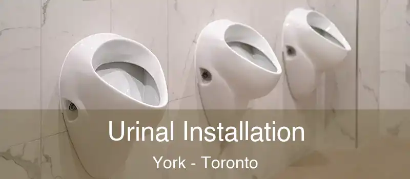 Urinal Installation York - Toronto