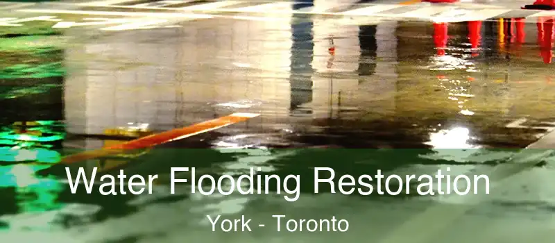 Water Flooding Restoration York - Toronto