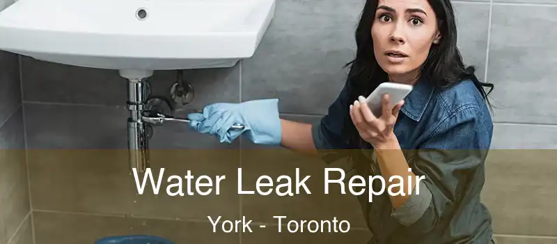 Water Leak Repair York - Toronto