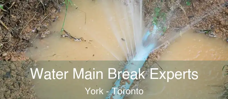 Water Main Break Experts York - Toronto
