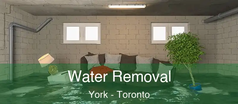 Water Removal York - Toronto